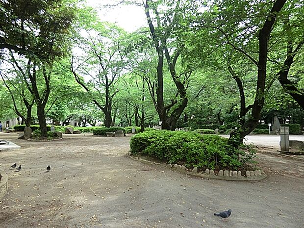 調公園(約450m)