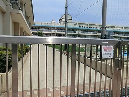 江東区立第三大島小学校 418m