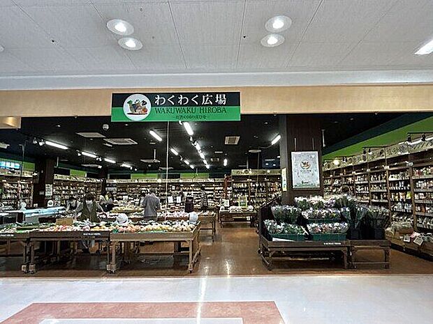わくわく広場 アピタ岡崎北店(約282m)