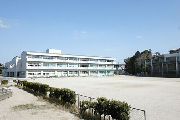 春日市立白水小学校(約625m)