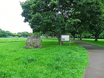 姥山貝塚公園 1339m
