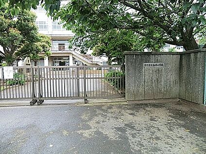 市川市立柏井小学校 1276m