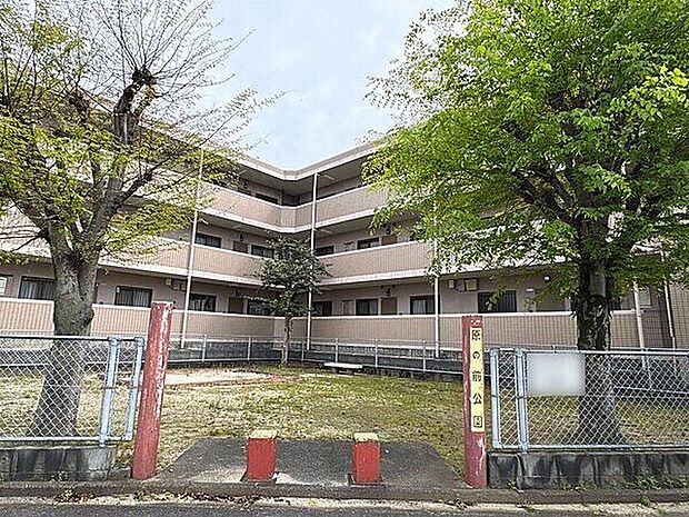 原の前公園（約500m）