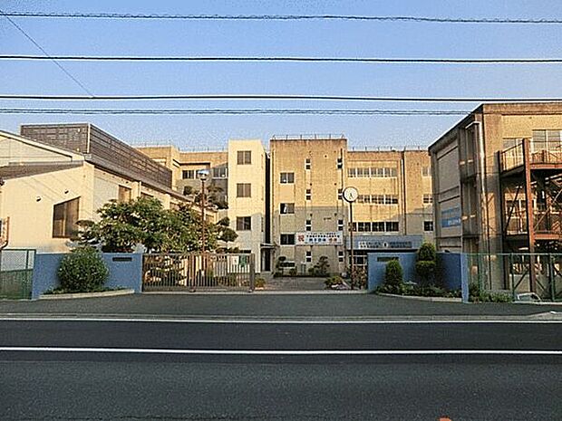 柏市立逆井中学校(約663m)