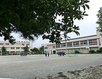 葛飾区立常盤中学校 897m