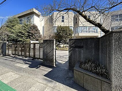 市川市立鬼高小学校 826m