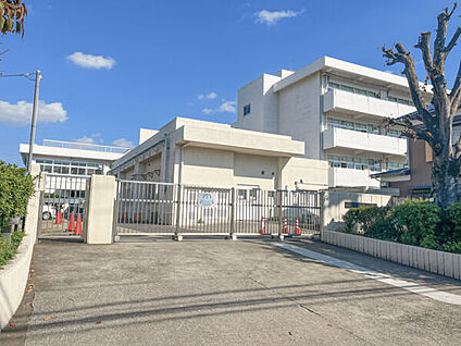横浜市立新吉田第二小学校 1017m