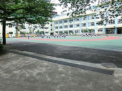 豊島区立高南小学校 847m