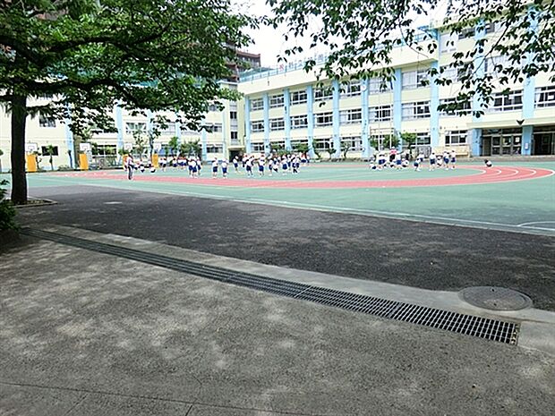 豊島区立高南小学校(約847m)