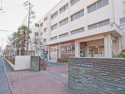 横浜市立新田中学校 919m