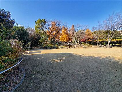 栗山公園 343m