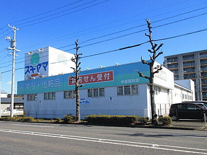 ドラッグスギヤマ中島新町店 1411m
