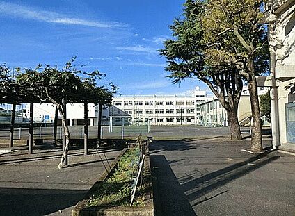 横浜市立南瀬谷小学校 163m