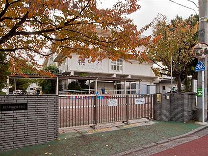 横浜市立白幡小学校 255m