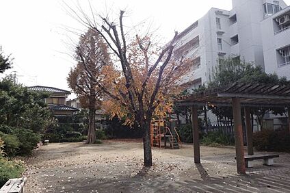 鳥飼本町公園 421m