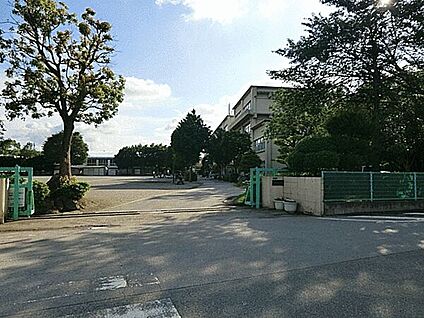 柏市立柏第八小学校 522m
