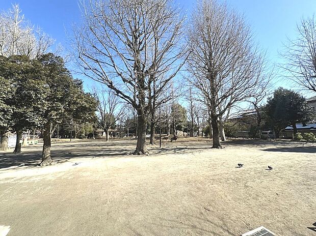 中野区立新井薬師公園（約110m）