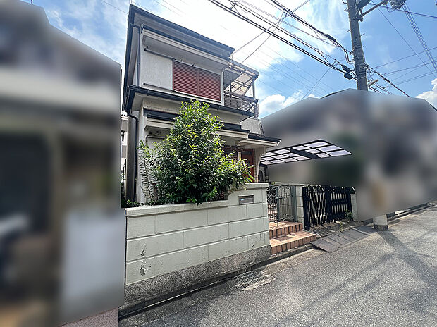 2026年7月撮影