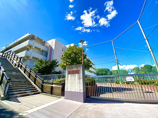 佐井寺小学校(約1,000m)