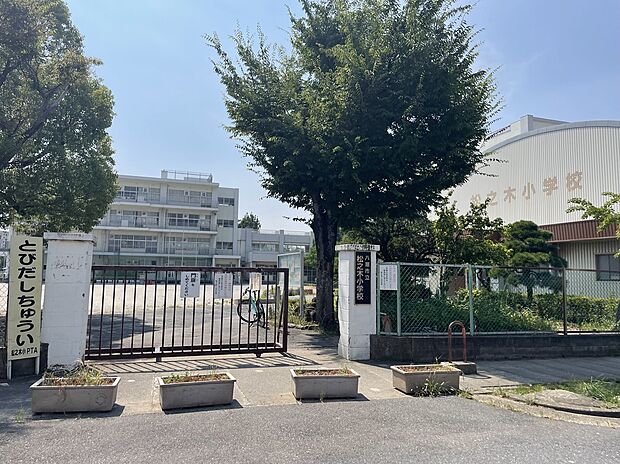 松之木小学校（約300m）