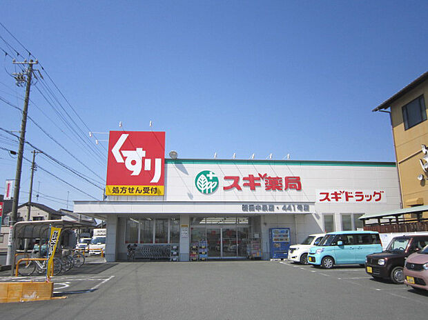 スギドラッグ磐田中泉店(約1,000m)