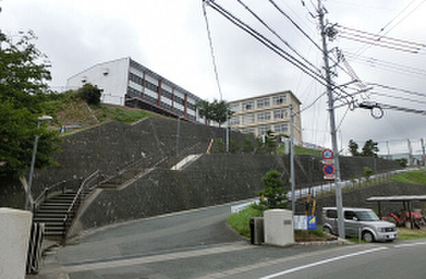 入野中学校（約2,400m）