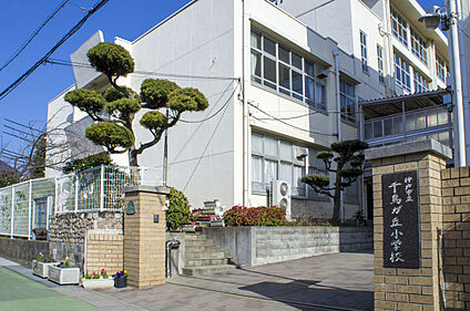 千鳥が丘小学校 400m(徒歩５分)