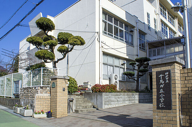 千鳥が丘小学校（約400m）