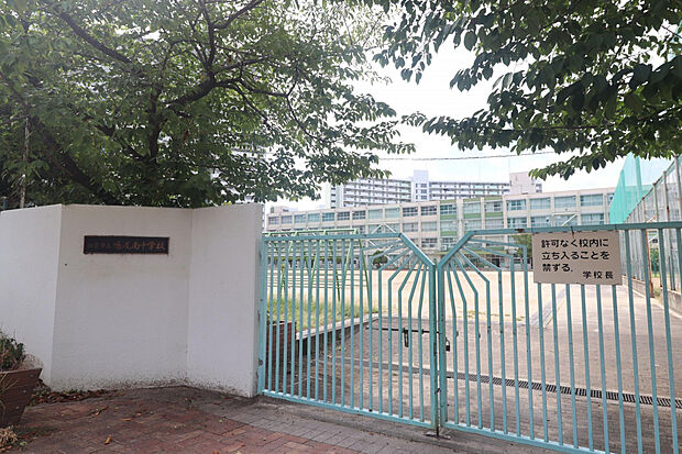 西宮市立鳴尾南中学校（約512m）