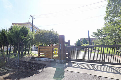犬山中学校 2600m