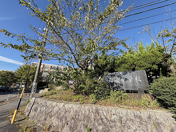 光陵中学校（約350m）