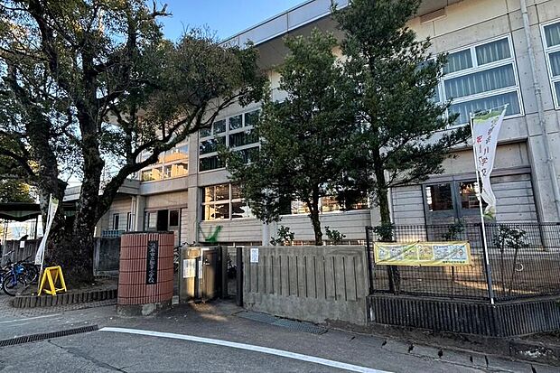 御幸小学校（約500m）