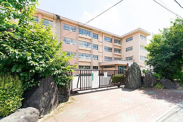 市立南小学校(約600m)