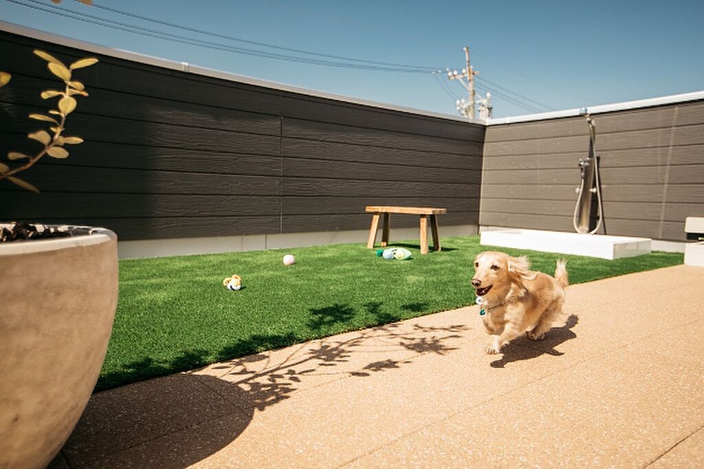 愛犬と遊ぶ屋上ドッグラン 屋上庭園のある家 インフィニガーデン栄町 埼玉県春日部市栄町1丁目北春日部駅の新築一戸建て 物件番号 の物件詳細 ニフティ不動産
