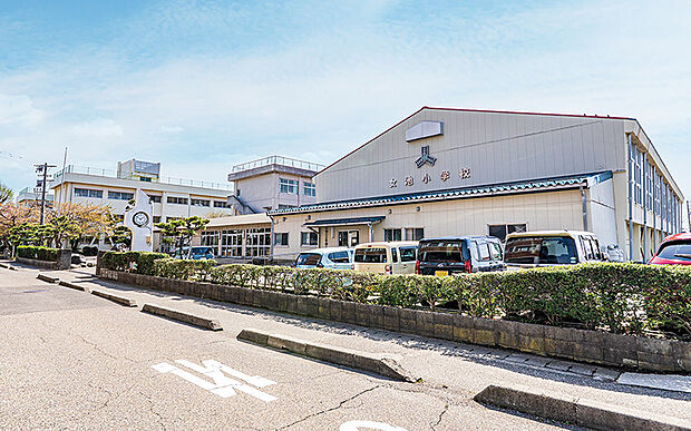 女池小学校（約480m）