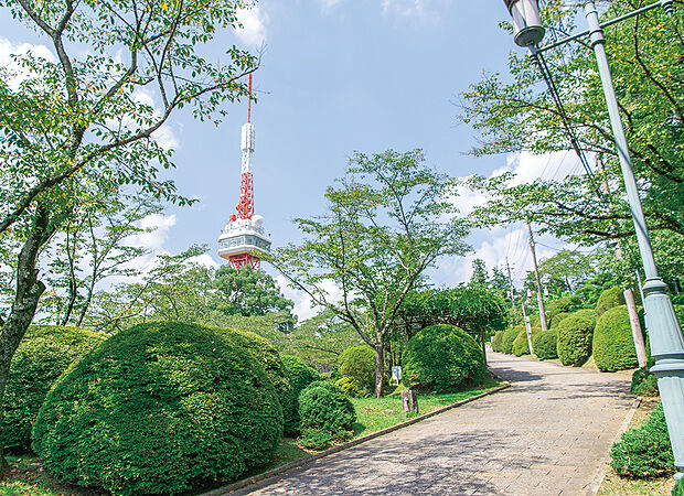 八幡山公園