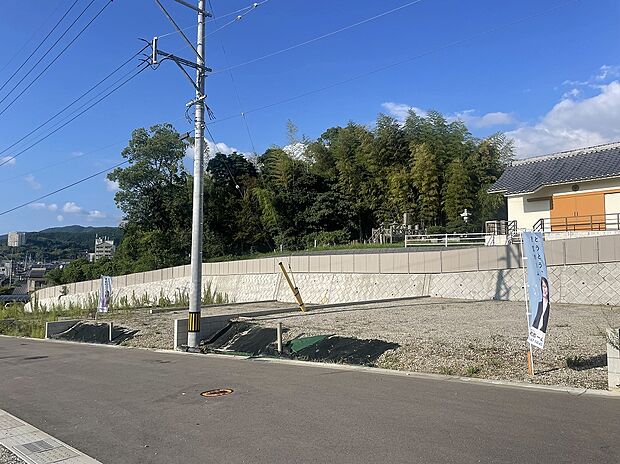 現地写真
2025年9月15日撮影