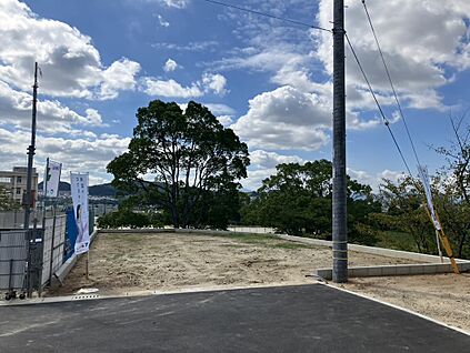 7号地