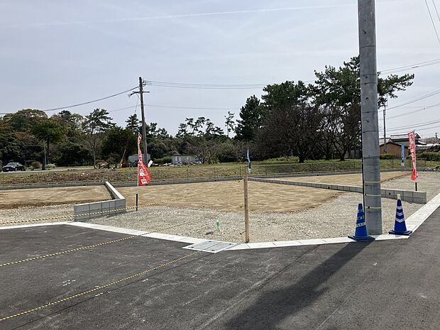 【現地写真】2026年4月2日撮影