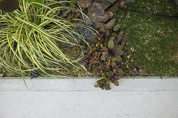 建物と調和した外構