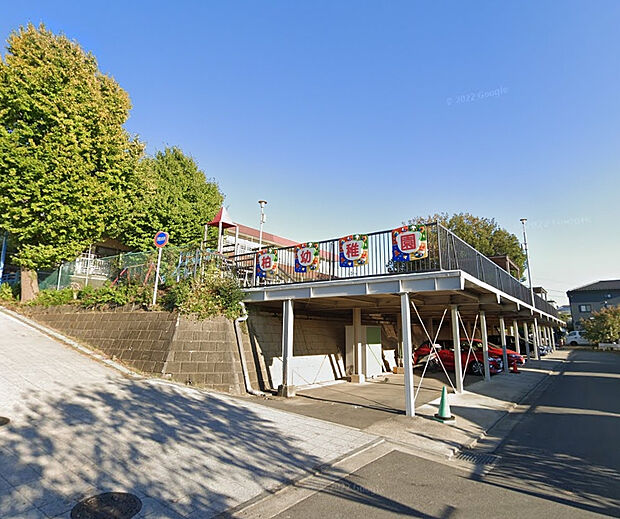 柏幼稚園（約800m）