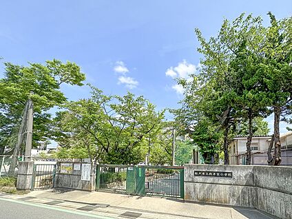 殿平賀小学校 250m