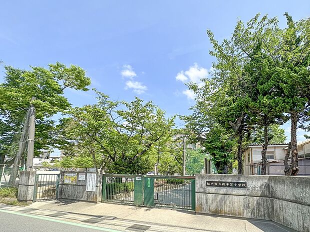 殿平賀小学校（約250m）