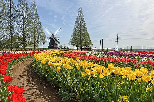 あけぼの山農業公園(約1,720m)
