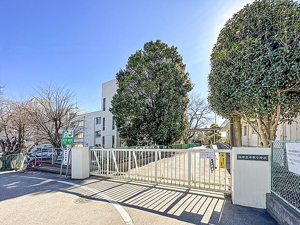 中原小学校（約870m）