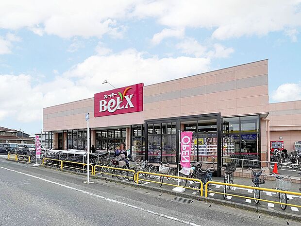 ベルクス柏つくしが丘店（約720m）