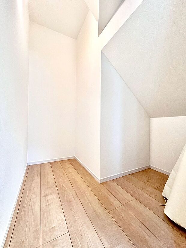 【その他設備(リビング収納)】リビング収納。ここに収納があると物が集まるLDKがスッキリ片付きそうですね。  