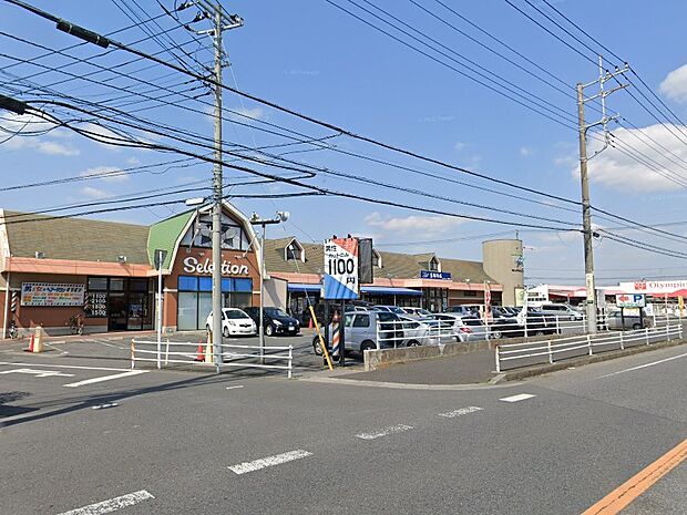 フーズマーケット セレクション 花野井店(約1,300m)