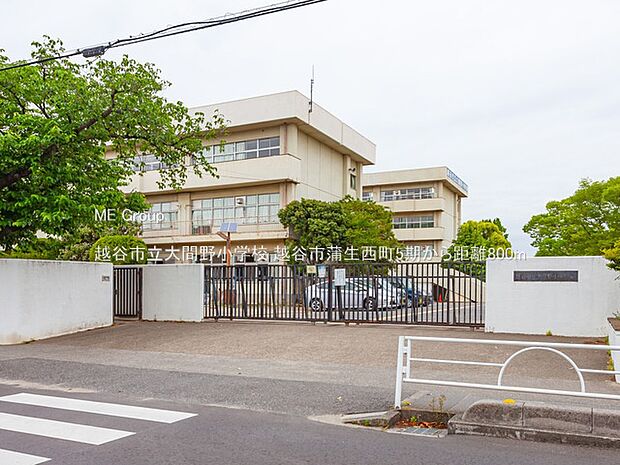 越谷市立大間野小学校（約800m）