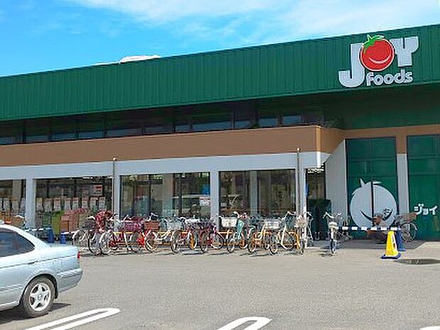 ジョイフーズ 杉戸清地店(約500m)